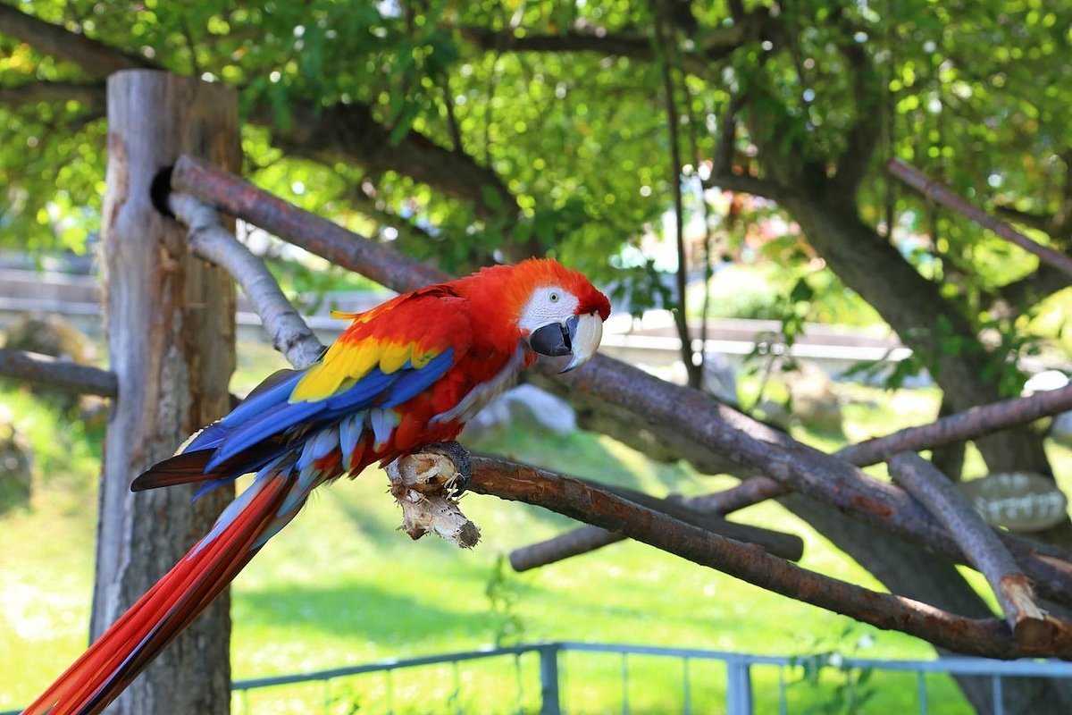 🦁 오비히로 동물원 이미지 5
